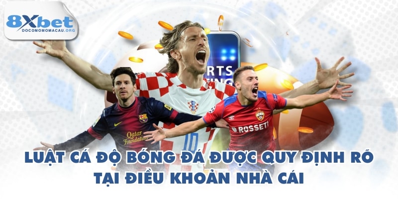 Luật cá độ bóng đá được quy định rõ tại điều khoản nhà cái