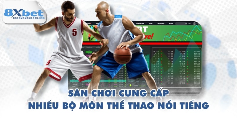 Sân chơi cung cấp nhiều bộ môn thể thao nổi tiếng